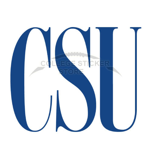 Customs Coppin State Eagles Iron-on Transfers (Wall Stickers)NO.4191
